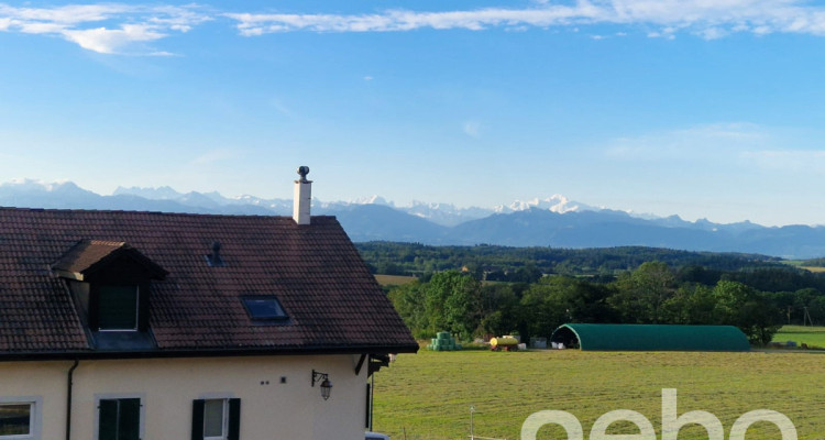 Duplex au calme au coeur de la campagne avec vue sur les Alpes image 3