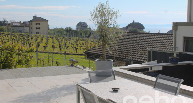 Magnifique Villa mitoyenne à Gorgier avec vue sur le lac de Neuchâtel image 3