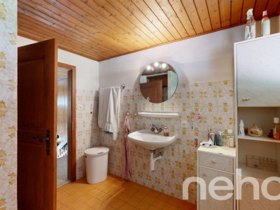 Magnifique maison mitoyenne avec grand jardin de 700m2! image 8