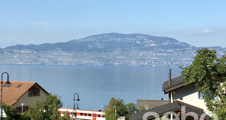 Splendide villa avec vue imprenable sur le lac et local indépendant image 4