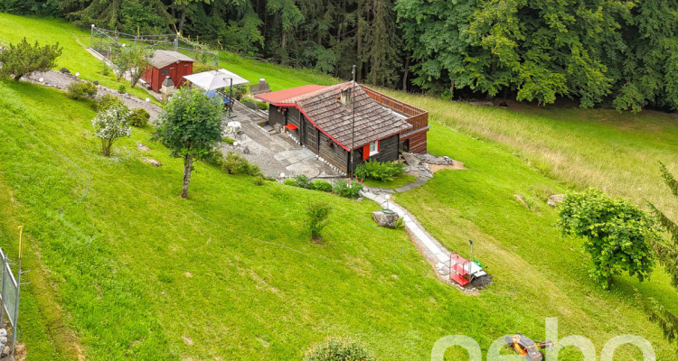 Exclusif: petit chalet de 2 pièces sur une grande parcelle image 3