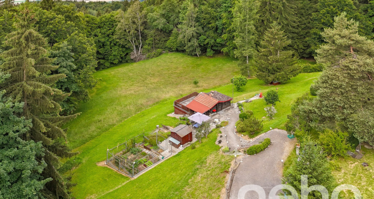 Exclusif: petit chalet de 2 pièces sur une grande parcelle image 4