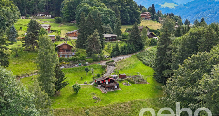 Exclusif: petit chalet de 2 pièces sur une grande parcelle image 5