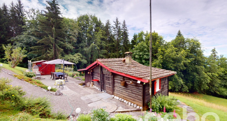 Exclusif: petit chalet de 2 pièces sur une grande parcelle image 7