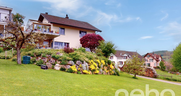 Sonniges und komfortables Wohnvergnügen mit grosser Landparzelle image 1