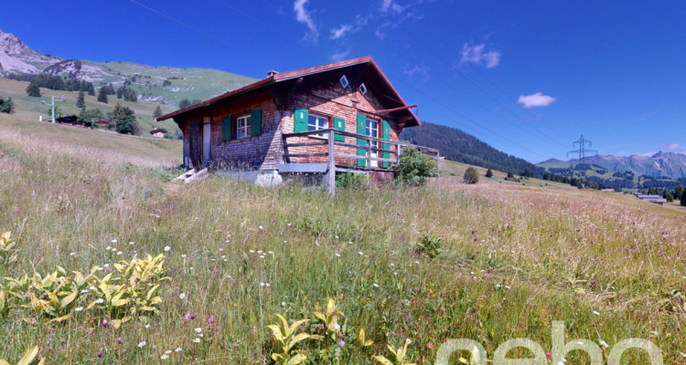 Exclusif: ravissant petit chalet au millieu des pistes image 2