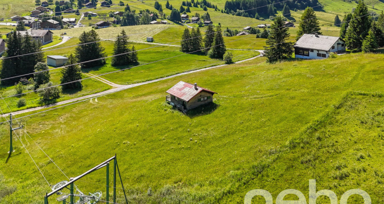 Exclusif: ravissant petit chalet au millieu des pistes image 11