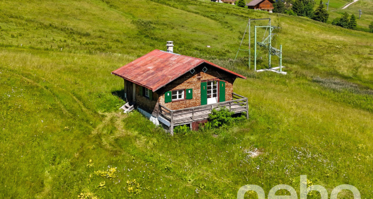 Exclusif: ravissant petit chalet au millieu des pistes image 12