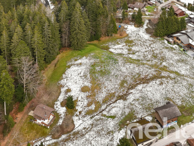 Grande parcelle en zone chalet - résidences secondaires autorisées image 1