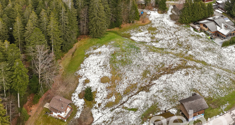 Grande parcelle en zone chalet - résidences secondaires autorisées image 1