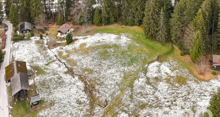 Grande parcelle en zone chalet - résidences secondaires autorisées image 3