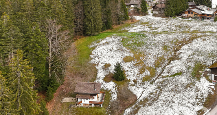 Grande parcelle en zone chalet - résidences secondaires autorisées image 5