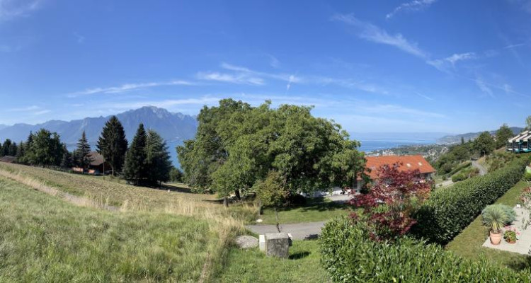 BEAU DUPLEX AVEC VUE PANORAMIQUE image 3