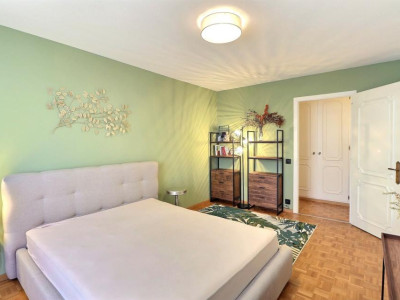 UNIQUE - SUPERBE VUE AU BORD DU LAC image 10