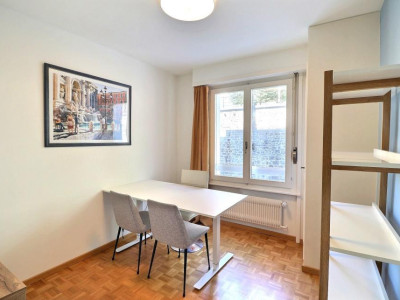 UNIQUE - SUPERBE VUE AU BORD DU LAC image 12