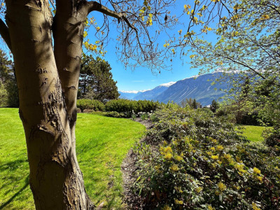 Calme absolu pour cette sublime propriÃ©tÃ© nichÃ© dans un Ã©crin de verdure image 1