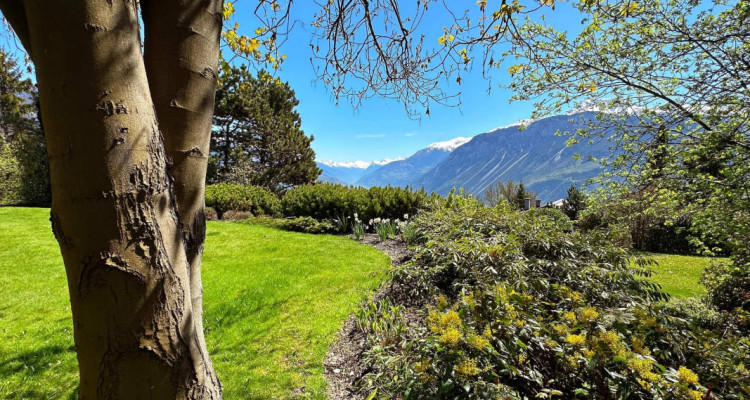 Calme absolu pour cette sublime propriÃ©tÃ© nichÃ© dans un Ã©crin de verdure image 1