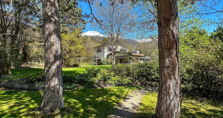 Calme absolu pour cette sublime propriÃ©tÃ© nichÃ© dans un Ã©crin de verdure image 2