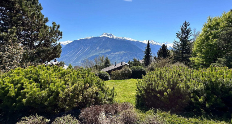 Calme absolu pour cette sublime propriÃ©tÃ© nichÃ© dans un Ã©crin de verdure image 5