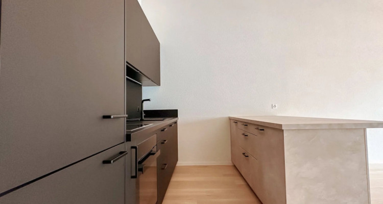 Nouvelle rÃ©sidence | Somptueux 4,5 piÃ¨ces confortable et belle loggia image 5