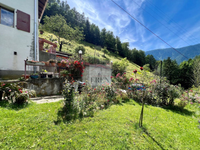 Habitation avec grange attenante sur parcelle agricole et forestière de plus de 56000 m2 image 2