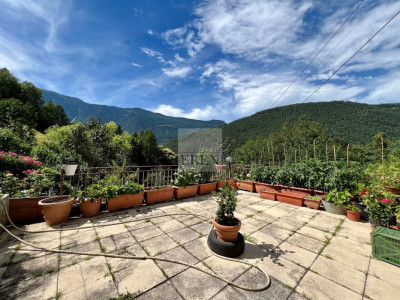 Habitation avec grange attenante sur parcelle agricole et forestière de plus de 56000 m2 image 12