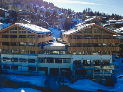 Vercorin - Echères 203 - duplex 4.5 pièces traversant image 4