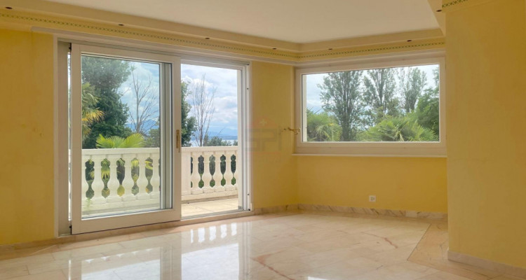 Splendide maison mitoyenne avec piscine et vue lac image 7