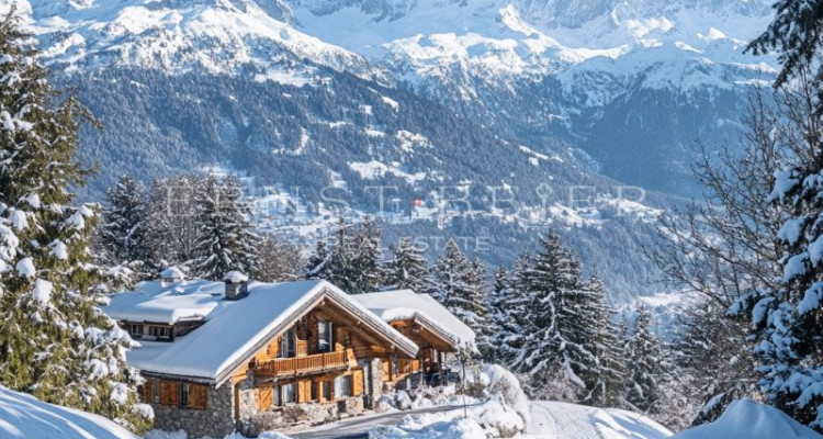 Magnifique hôtel de montagne avec vue imprenable image 1