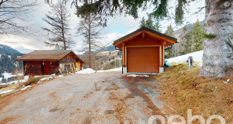 Exclusif: superbe chalet de 3 chambres avec studio et annexes image 11