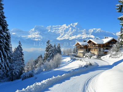 Magnifique chalet de montagne avec vue imprenable image 1