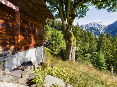 Coup de coeur : petit chalet pour les amoureux de la nature - sur appel doffres image 1