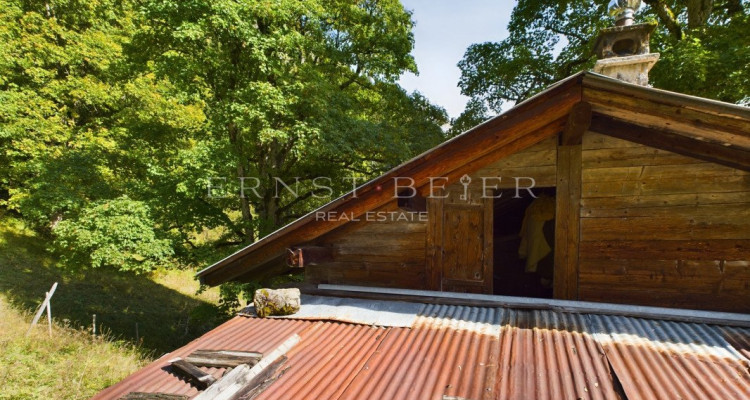 Coup de coeur : petit chalet pour les amoureux de la nature - sur appel doffres image 9