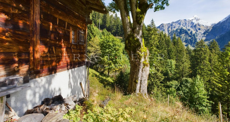 Coup de coeur : petit chalet pour les amoureux de la nature - sur appel doffres image 1