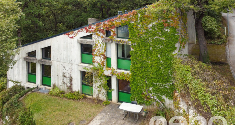 Maison darchitecte avec vue sur les montagnes image 2