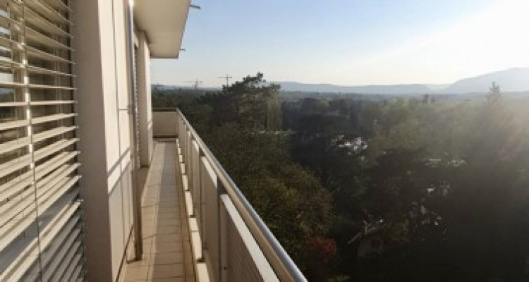 Pour votre famille joli 5 pièces a Carouge  image 1