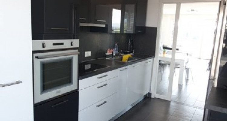 Pour votre famille joli 5 pièces a Carouge  image 3