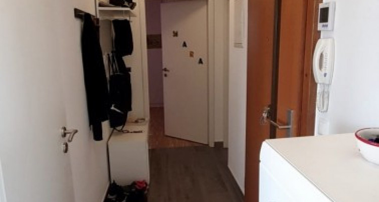 Pour votre famille joli 5 pièces a Carouge  image 6