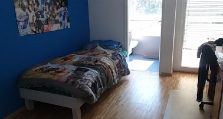 Pour votre famille joli 5 pièces a Carouge  image 7