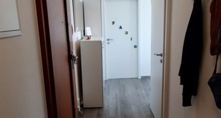 Pour votre famille joli 5 pièces a Carouge  image 8