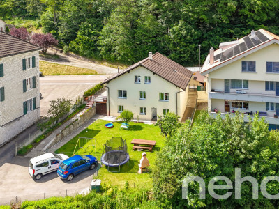 Investir au fil de lAreuse: Grande maison rénovée avec jardin image 1