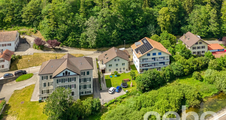 Investir au fil de lAreuse: Grande maison rénovée avec jardin image 8