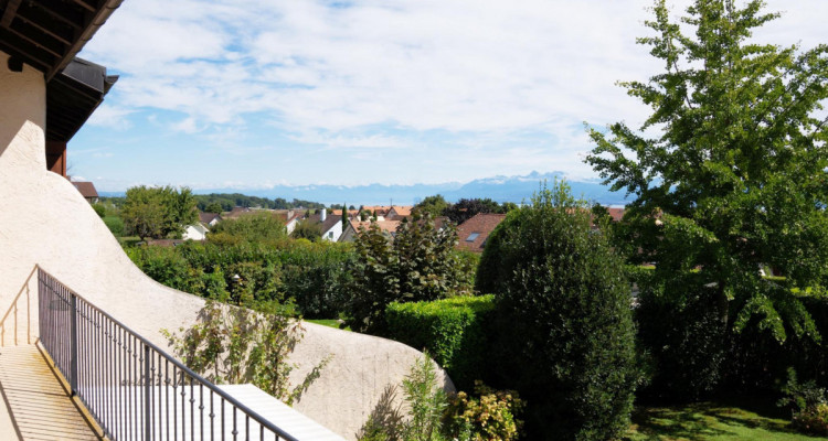 A voir absolument - Magnifique maison de village pleine de charme, vue sur le lac et les Alpes image 4