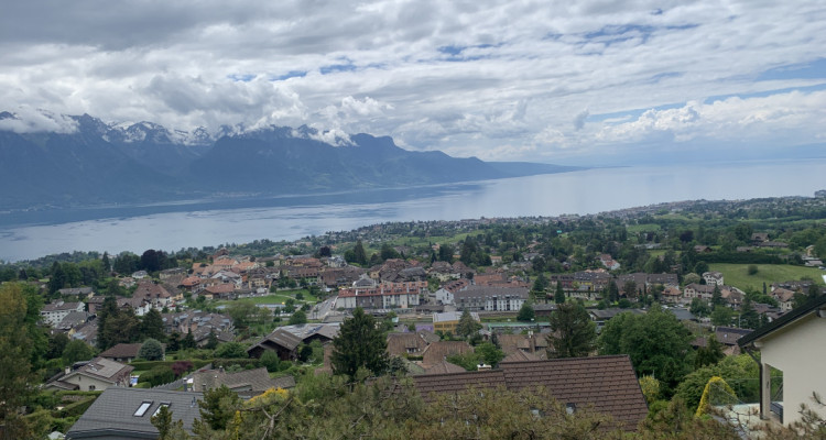 Chalet avec du cachet et une vue sur le Lac et les Montagnes !  image 2