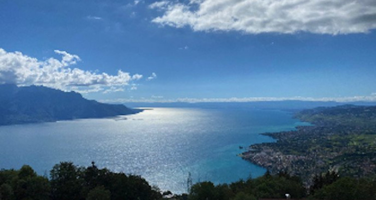 Superbe Propriété avec Vue Panoramique sur le Lac Léman et les Alpes image 10