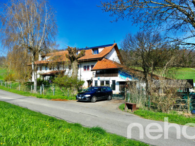 Spacieux triplex avec terrasse, jardin et piscine intérieure image 1