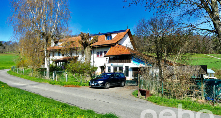 Spacieux triplex avec terrasse, jardin et piscine intérieure image 1