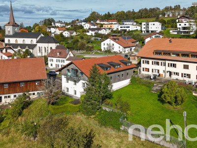 Très beau duplex de 5p rénové avec terrasse et jardin! image 1