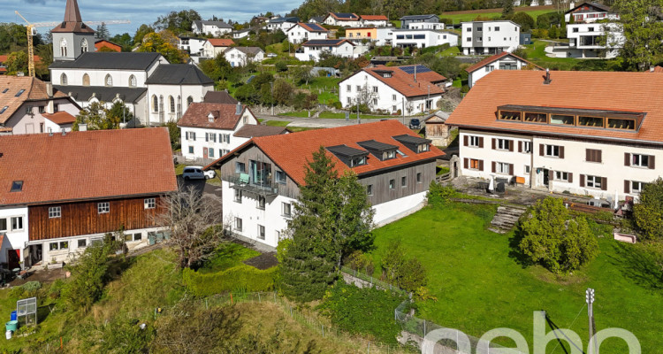 Très beau duplex de 5p rénové avec terrasse et jardin! image 1