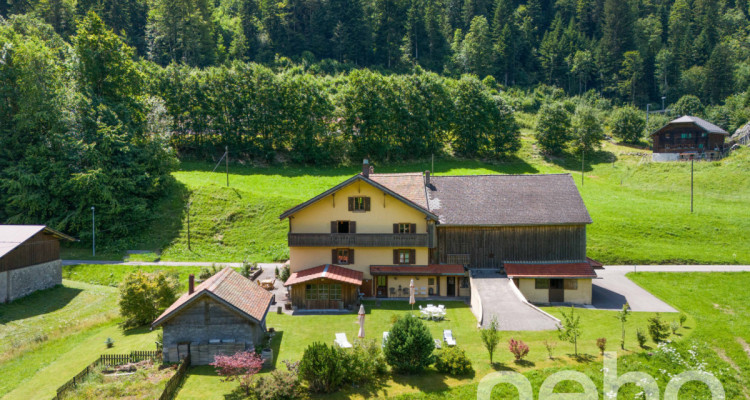 Pour un projet de maison dhôtes dans le Pays-dEn-haut. Idyllique! image 8